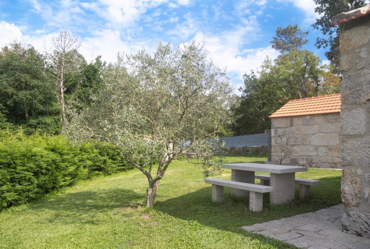 Casas D'Oliva Daire Caramulo Dış mekan fotoğraf